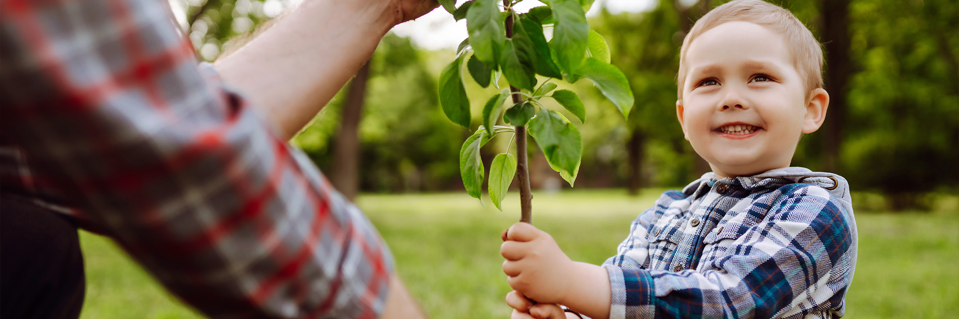 L'asssociation des Matte d'Amérique
