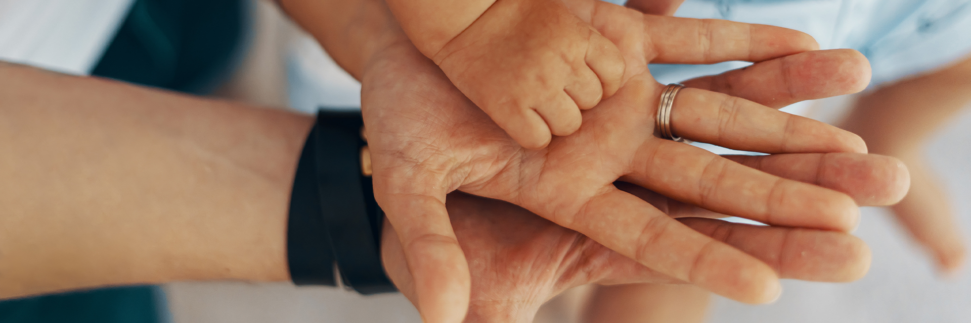 L'asssociation des Matte d'Amérique