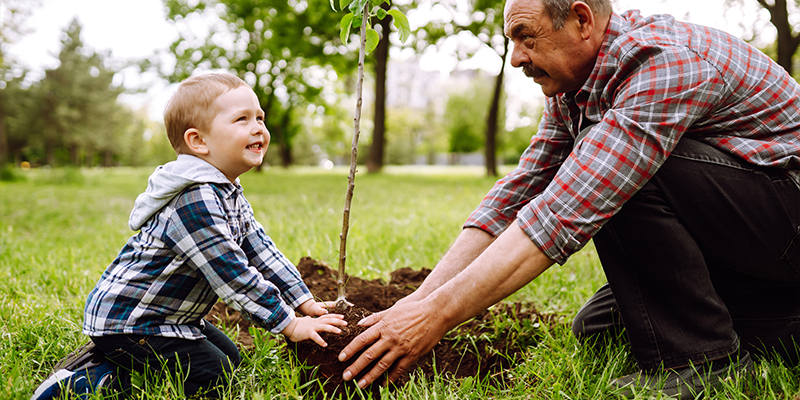 L'asssociation des Matte d'Amérique